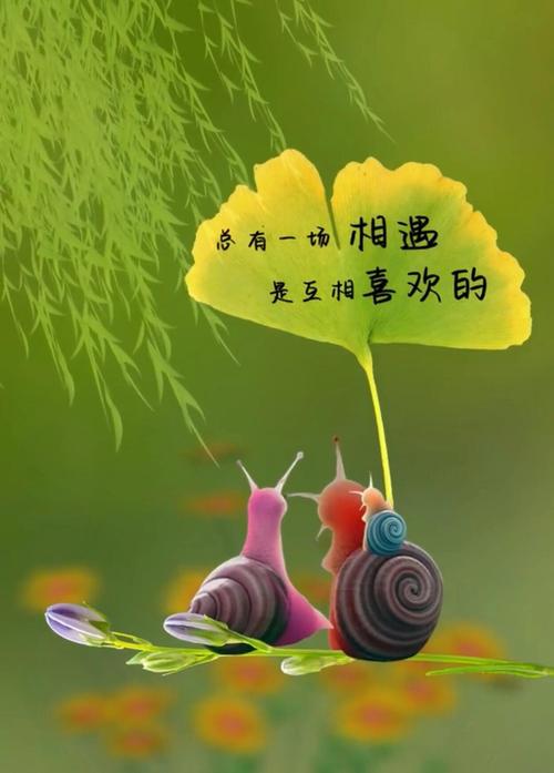 一别天涯海角,余生,各自安好 第1张 一别天涯海角,余生,各自安好 第1张
