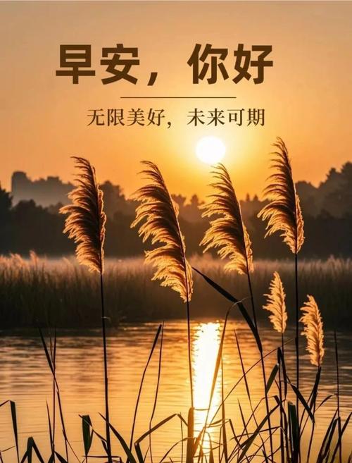 阳光睿智的早安励志语录句子，温馨的早上好问候免打字图片  第1张