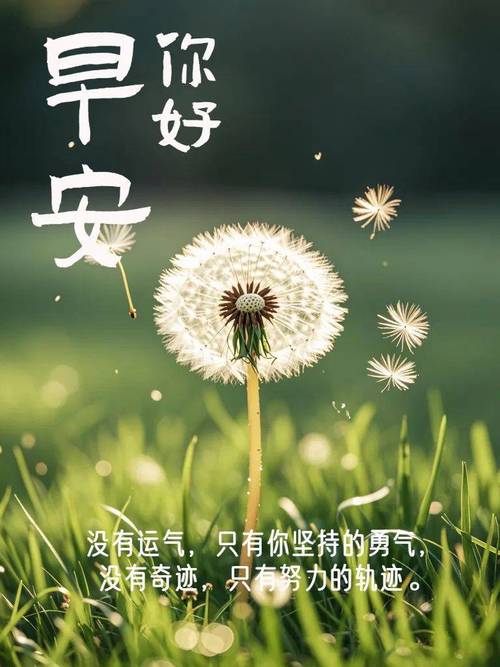 「2023.10.30」早安心语，正能量激励语录句子，精美语录句子图片  第1张