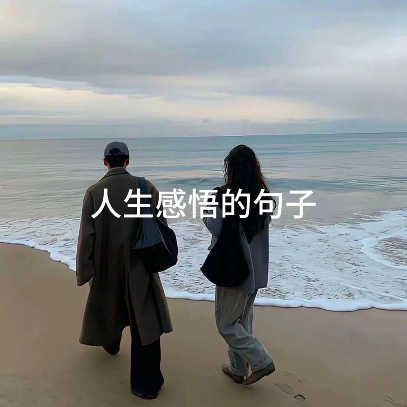句句说到心坎的人生感悟,人生起起落落 第1张 句句说到心坎的人生感悟,人生起起落落 第1张