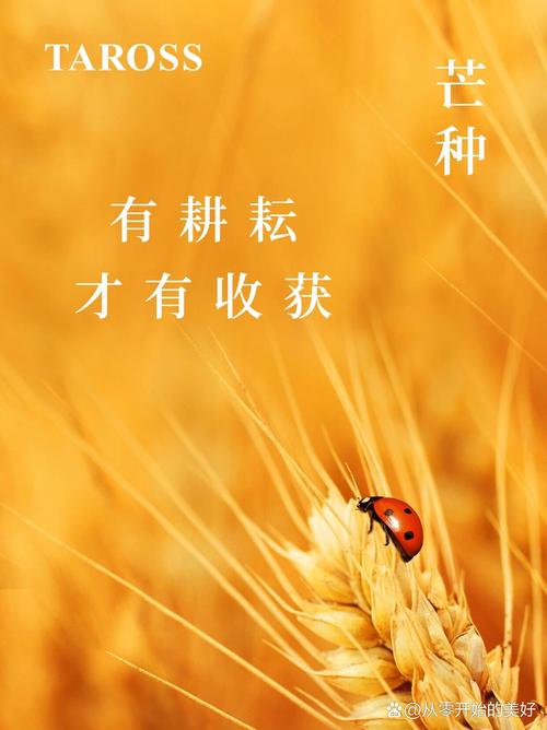辛勤耕耘成果丰硕 第1张 辛勤耕耘成果丰硕 第1张