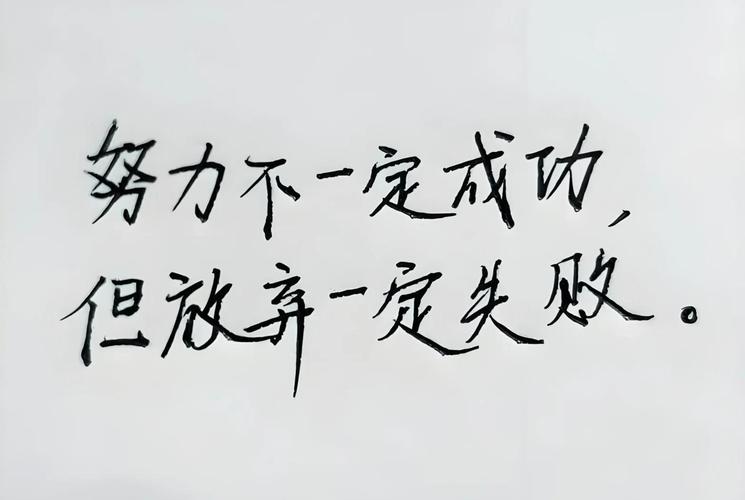 人生起起落落,再坚持一下,再努力一下 第1张 人生起起落落,再坚持一下,再努力一下 第1张