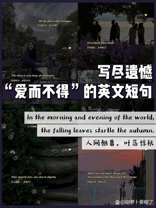 简单但却很唯美的英文句子，句句经典，让人爱不释手！  第1张