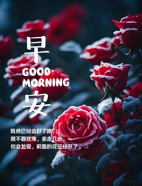 自我激励的早安励志句子，免打字早安愉快的问候祝福语图片带字  第1张