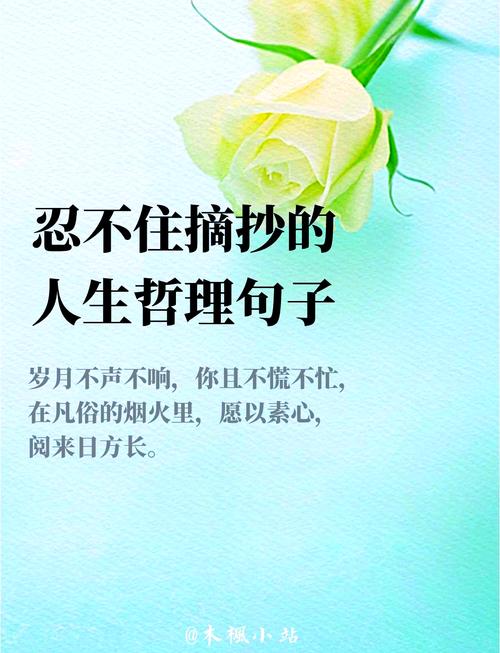 25句深刻现实的人生格言句子,极富哲理 第1张 25句深刻现实的人生格言句子,极富哲理 第1张