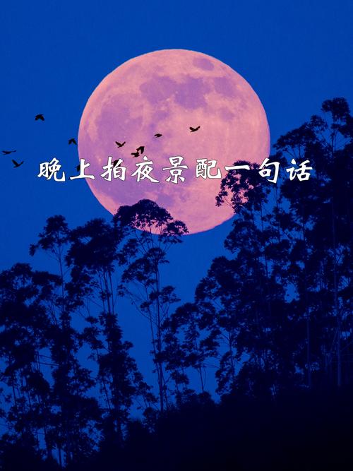 夜晚美景的句子:沉醉夜色,缱绻美景,静享灵魂的安宁 第1张 夜晚美景的句子:沉醉夜色,缱绻美景,静享灵魂的安宁 第1张