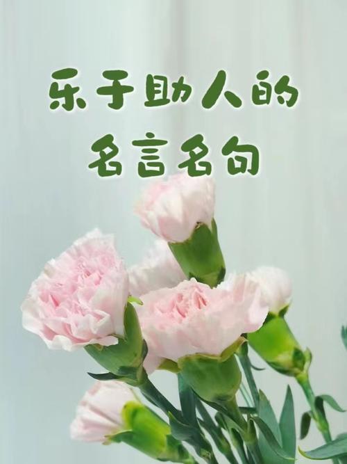 帮助他人的名言警句  第1张