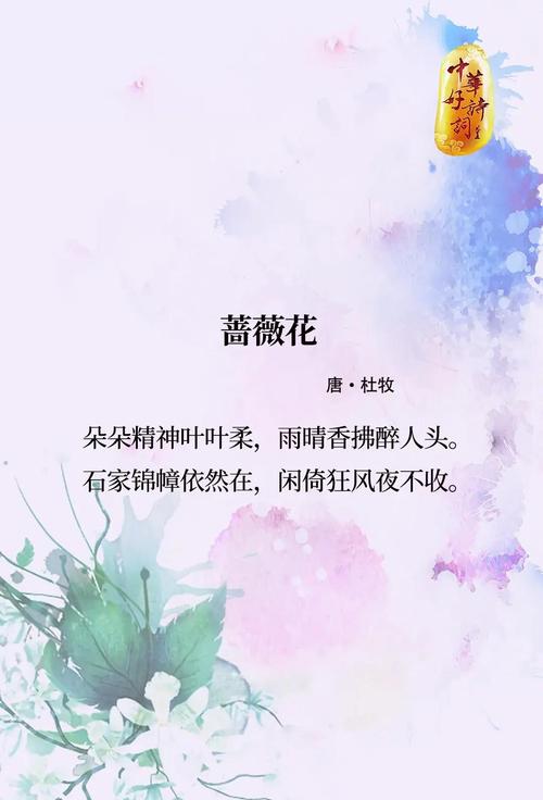 古诗词的芳华——含苞欲放已倾心，一展芳华更摄魂……  第1张