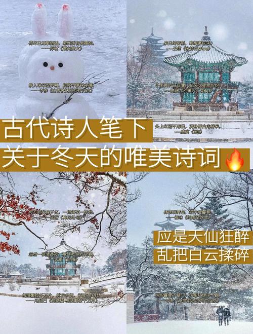 千年宋词，最美在寒冬  第1张