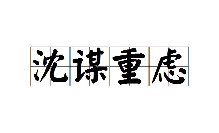 沈谋重虑[chén móu zhòng lǜ]  第1张