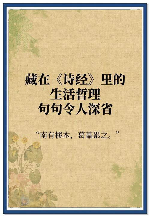 善贾而沽[shàn jià ér gū]  第1张