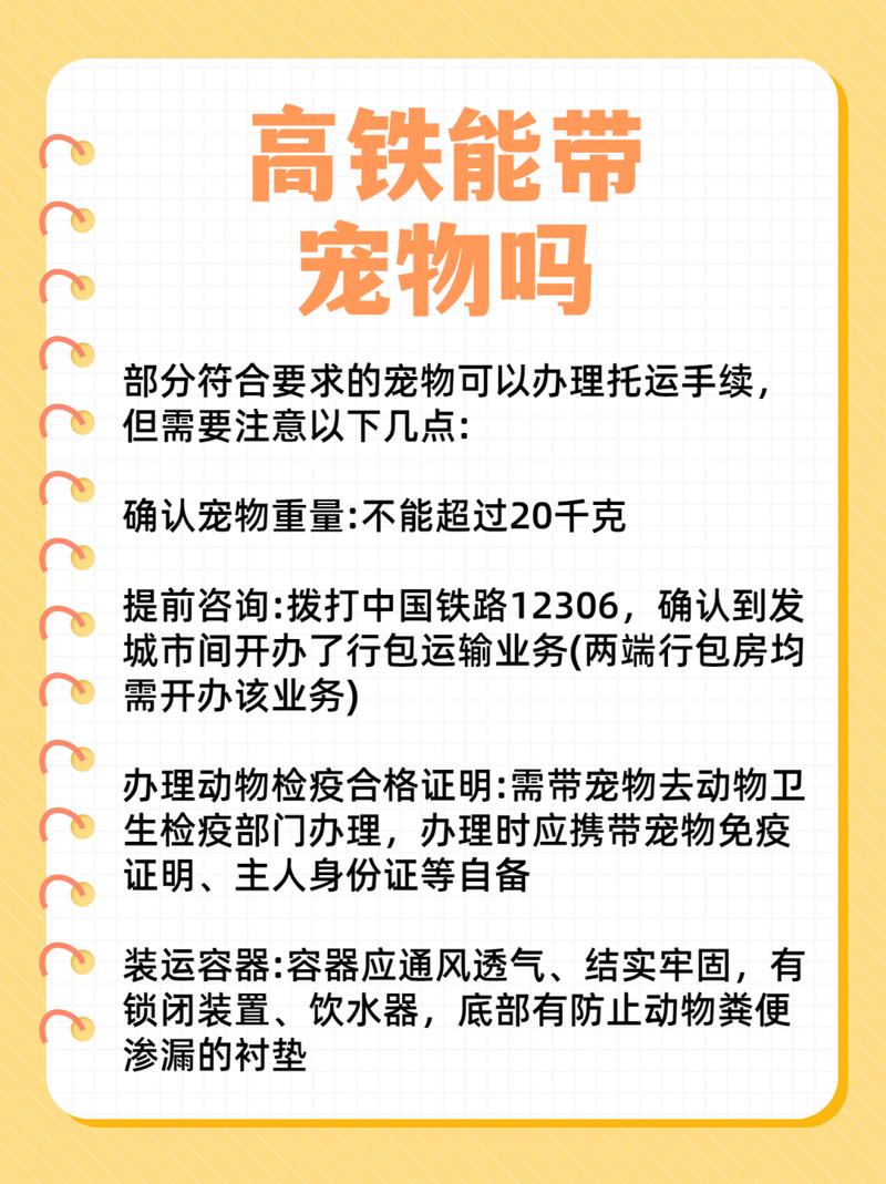 武汉龙猫可不可以上地铁(武汉动车和火车还有地铁上可以带小型宠物吗) 第1张 武汉龙猫可不可以上地铁(武汉动车和火车还有地铁上可以带小型宠物吗) 第1张
