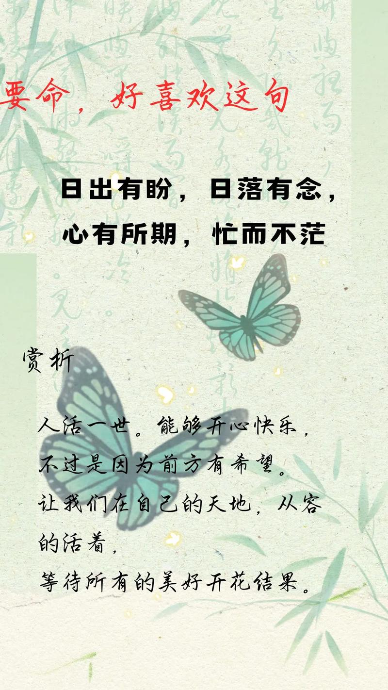 世间的期待有千万种,最美好的那种叫明日可期 第1张 世间的期待有千万种,最美好的那种叫明日可期 第1张