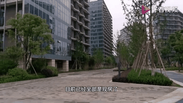 杭州江景高层地铁口(想在杭州买一个一线江景公寓而且在距离地铁站不超过500米有什么公寓可以选择)  第1张