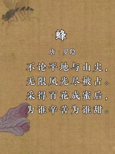 诗词丨一朵浅花,一只蜂来,采撷蜜甜 第1张 诗词丨一朵浅花,一只蜂来,采撷蜜甜 第1张