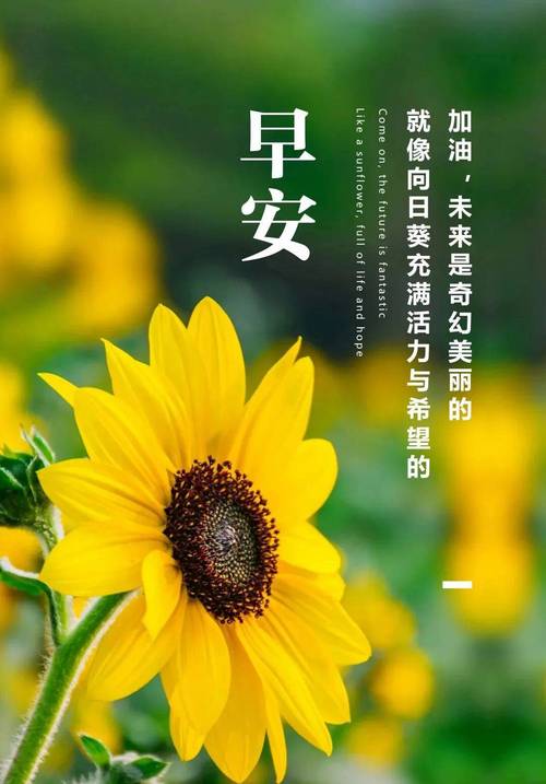 新的一月坚强正能量的人生感悟句子,温馨的早安励志心语短句 第1张 新的一月坚强正能量的人生感悟句子,温馨的早安励志心语短句 第1张