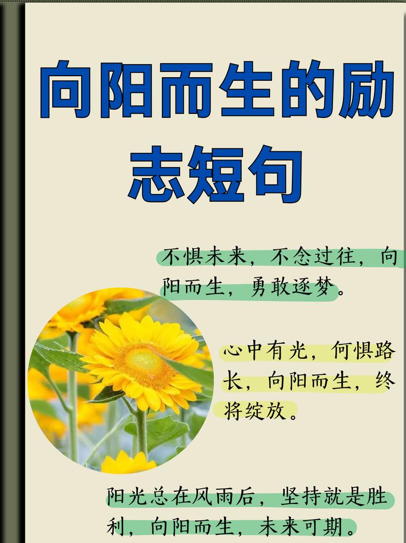 接地气的励志句子,很燃很阳光,激发你的斗志 第1张 接地气的励志句子,很燃很阳光,激发你的斗志 第1张