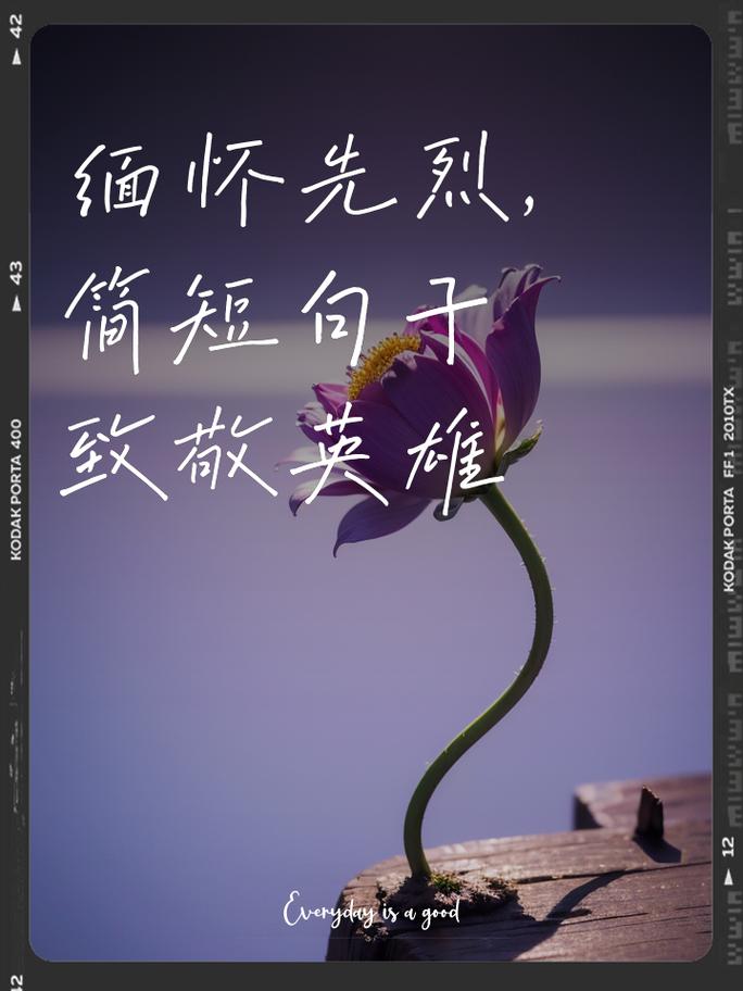 清明祭英烈,走心是最好的追思与继承 第1张 清明祭英烈,走心是最好的追思与继承 第1张