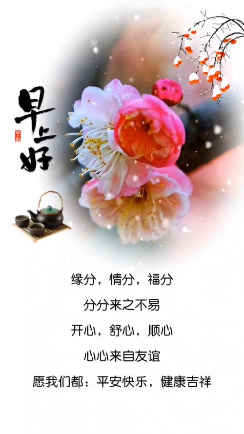 相遇很美,美到心动;缘分很暖,暖到落泪,早安 第1张 相遇很美,美到心动;缘分很暖,暖到落泪,早安 第1张