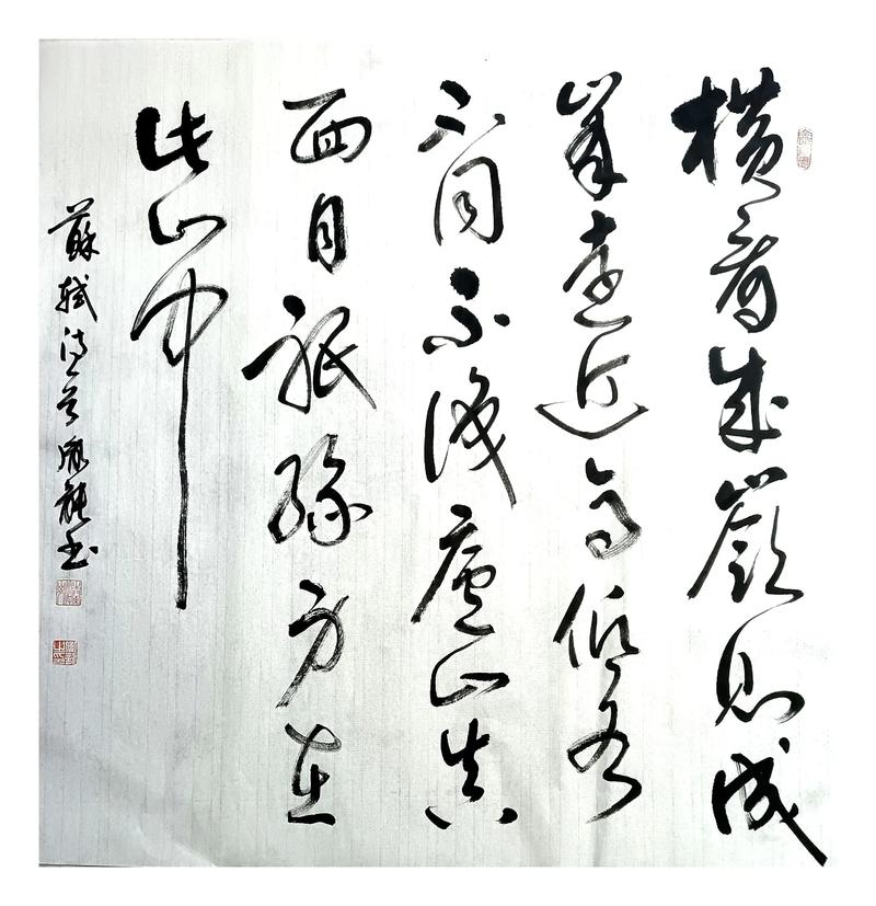 横看成岭侧成峰,长句短句意相同 第1张 横看成岭侧成峰,长句短句意相同 第1张