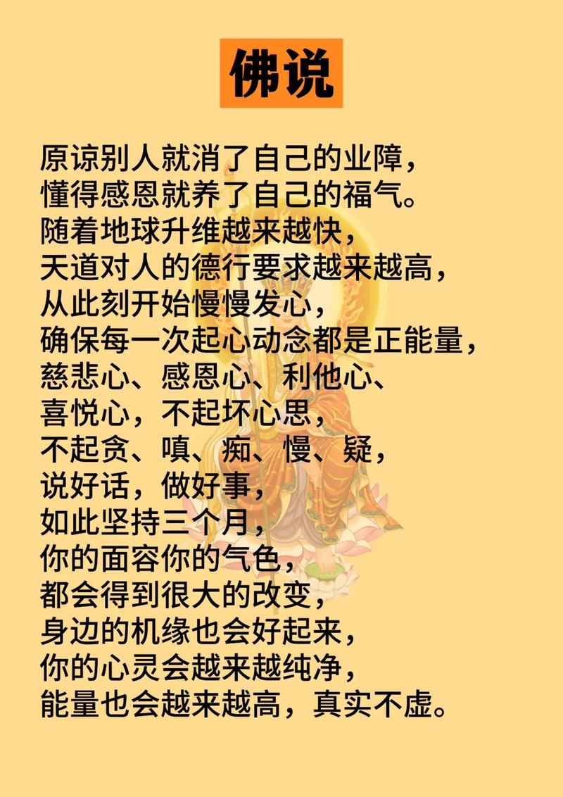 让人大彻大悟的句子：学会原谅，快乐至上  第1张