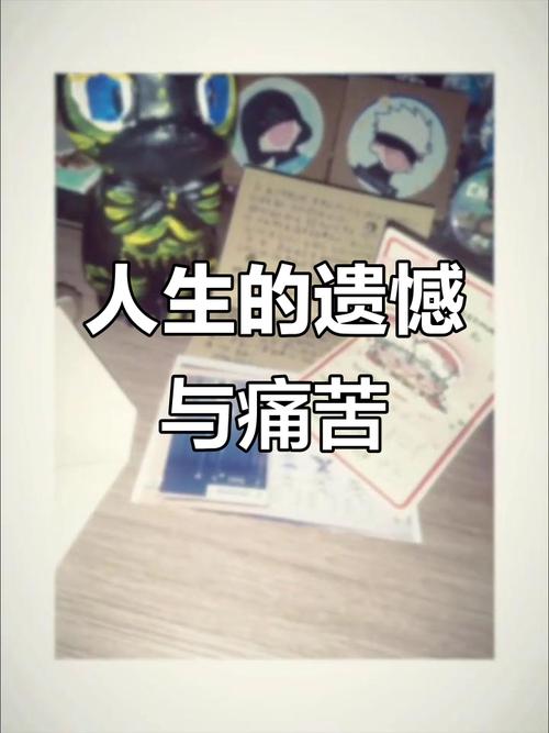 无法弥补的遗憾  第1张