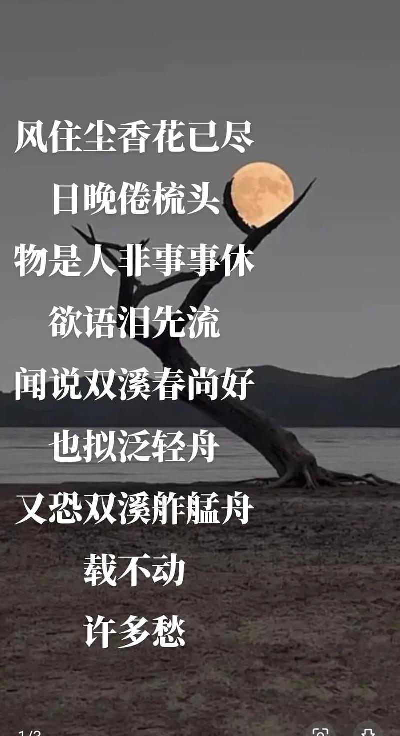 情感语录：青春的风轻轻的吹过像风中缭乱的发丝剪不断理还乱愁  第1张