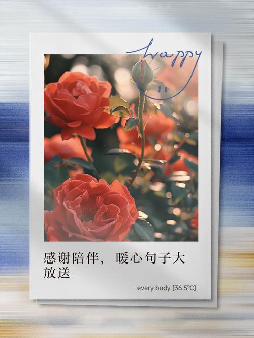 感谢有你的陪伴，细水长流中的爱情真谛  第1张