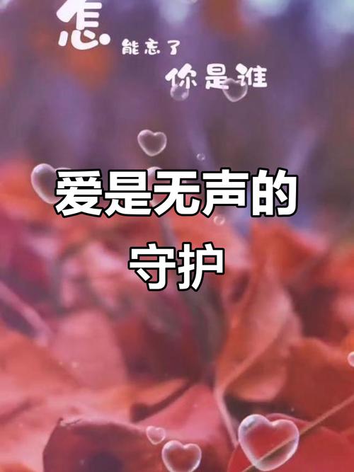 有一种爱,叫默默守护 第1张 有一种爱,叫默默守护 第1张
