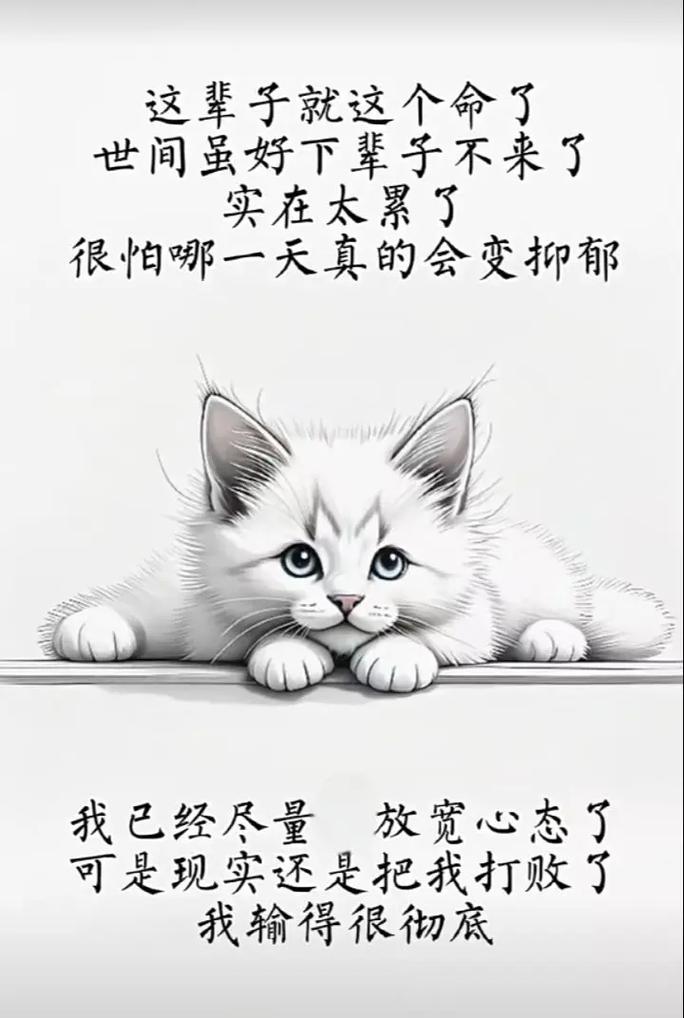 人生实苦，但也要好好走完这一生，下辈子，我们将再也不见  第1张