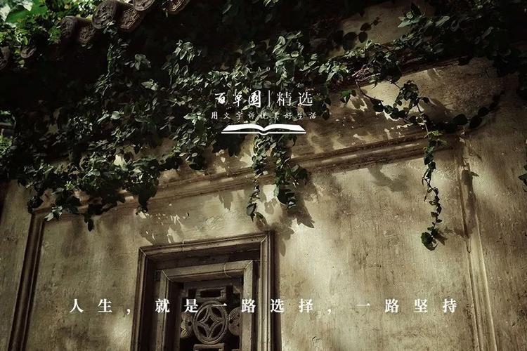 夜读｜火车与远行，如诗，如歌  第1张