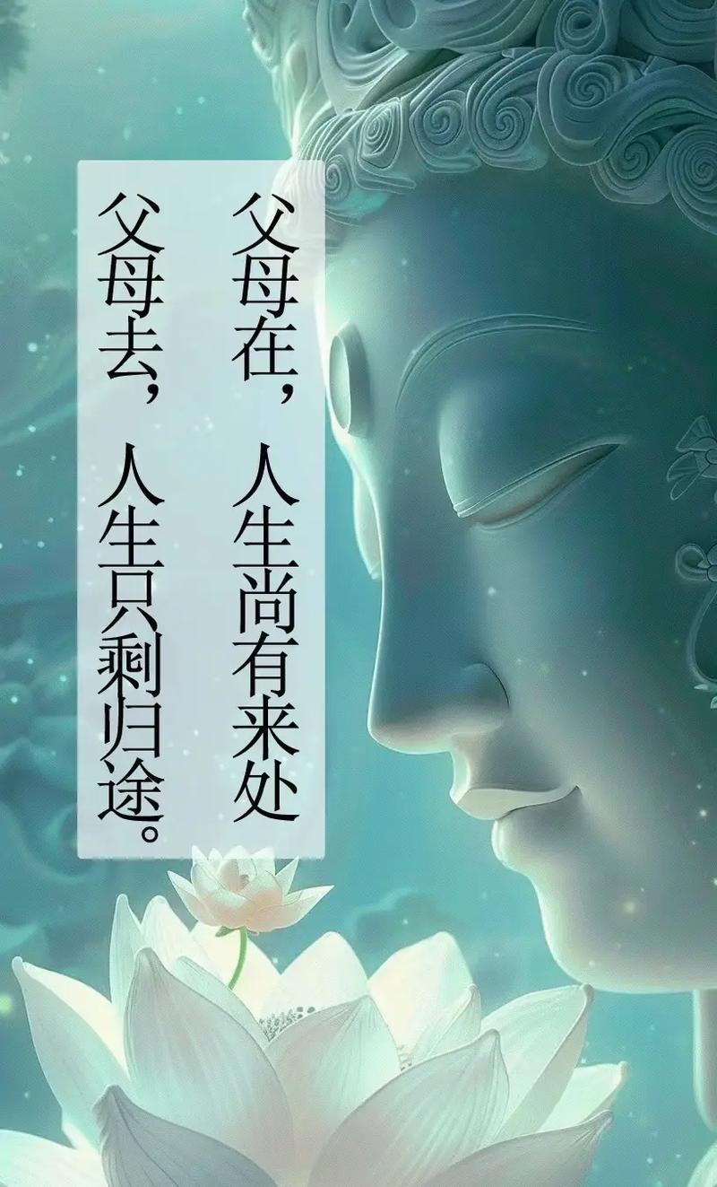 父母在，人生尚有来处；父母去，人生只剩归途  第1张