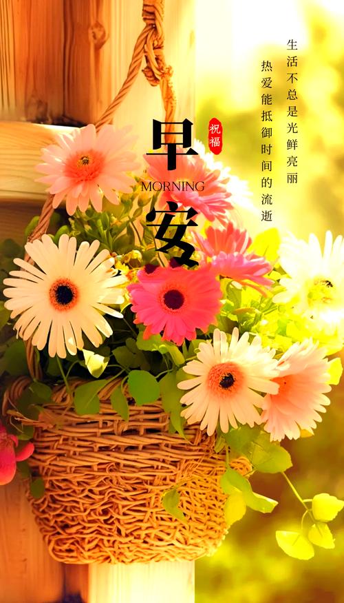 正能量的早安问候短语，句句经典走心，增添您的人生阅历  第1张