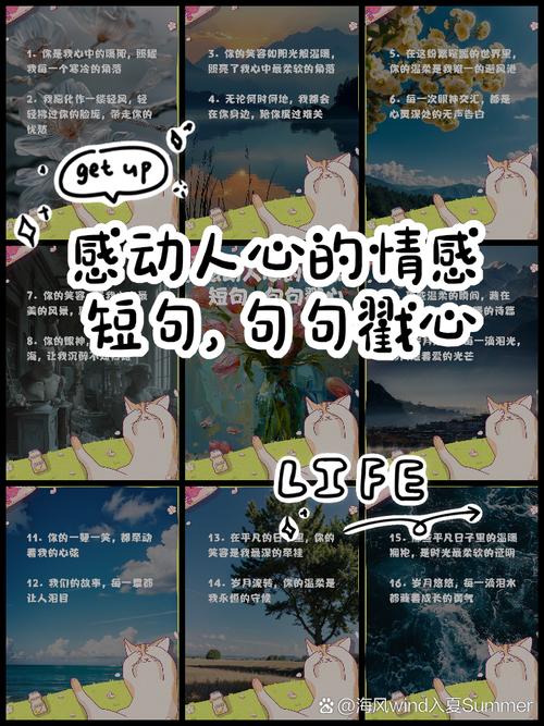 经典感情句子说说心情,句句舒心,哪一句说中你的心情 第1张 经典感情句子说说心情,句句舒心,哪一句说中你的心情 第1张