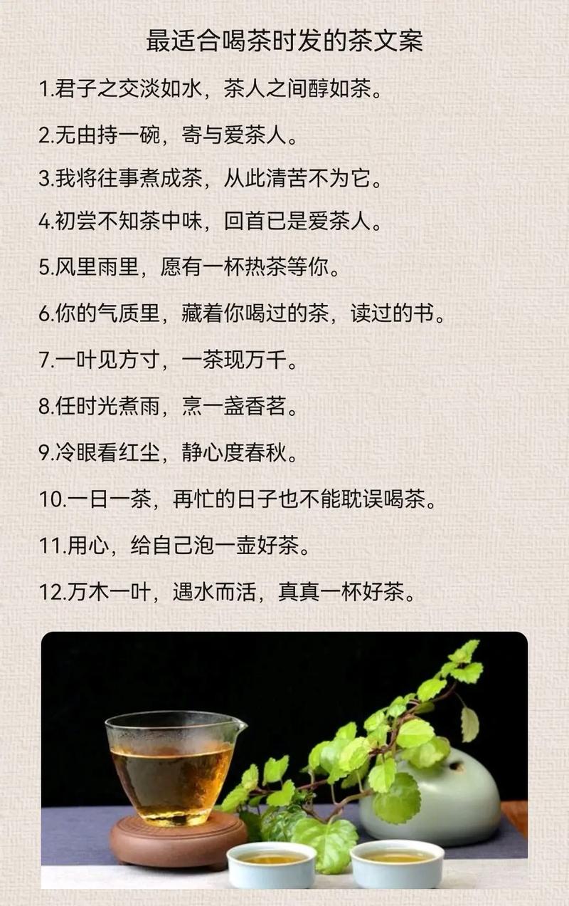 茶的经典语录,太有才了 第1张 茶的经典语录,太有才了 第1张