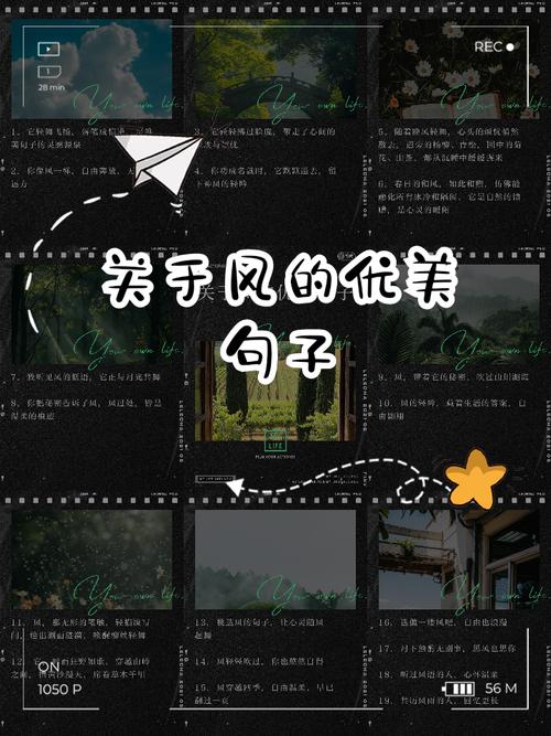 不同季节的风有各自的特点,你会描写风吗?收藏关于风的好句好段 第1张 不同季节的风有各自的特点,你会描写风吗?收藏关于风的好句好段 第1张