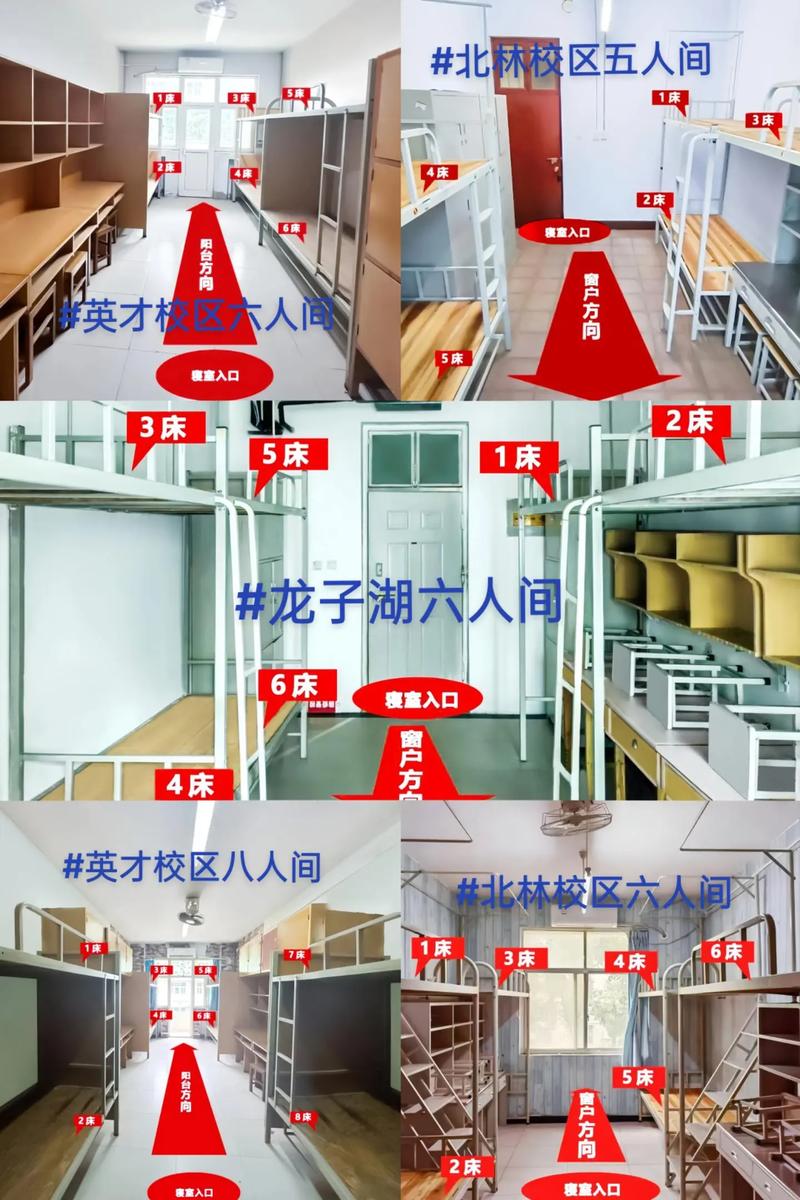 河南牧业经济学院在河南各专业2026招生人数、录取分数线(附:招生计划表) 第1张 河南牧业经济学院在河南各专业2026招生人数、录取分数线(附:招生计划表) 第1张