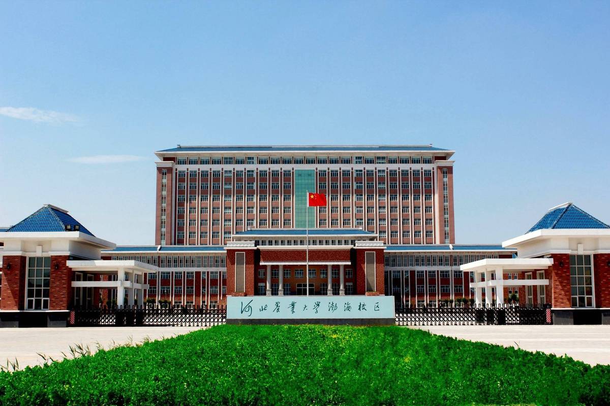 河北农业大学国际经济与贸易专业排名怎么样?好不好 第1张 河北农业大学国际经济与贸易专业排名怎么样?好不好 第1张