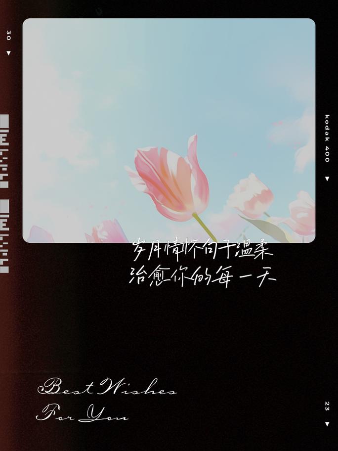 温柔了岁月的精美句子,令人百看不厌 第1张 温柔了岁月的精美句子,令人百看不厌 第1张