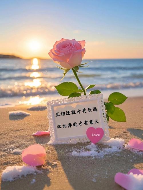 有一种爱,叫初次相遇,从此便负重前行 第1张 有一种爱,叫初次相遇,从此便负重前行 第1张