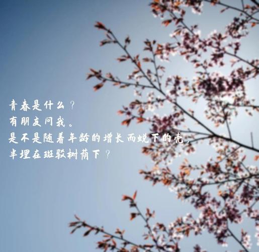 青春自信阳光的句子,句句精彩 第1张 青春自信阳光的句子,句句精彩 第1张