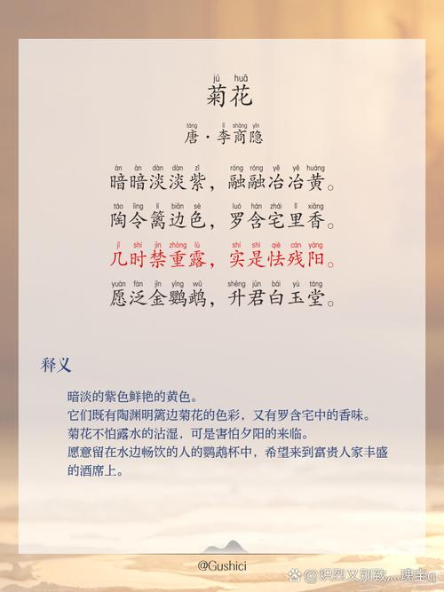 深秋风凉,落叶飘零,愿你心中有温暖,且待篱前菊花香 第1张 深秋风凉,落叶飘零,愿你心中有温暖,且待篱前菊花香 第1张