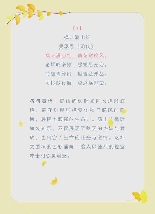 一片叶，一段情；一地叶，一首诗；落叶情，美在心  第1张
