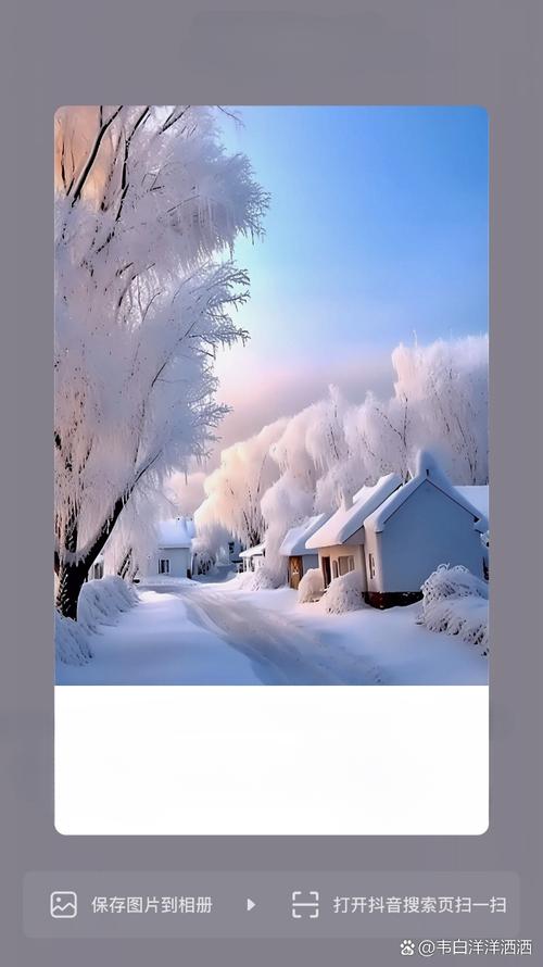 雪的魅力：白色世界中的纯净与宁静  第1张