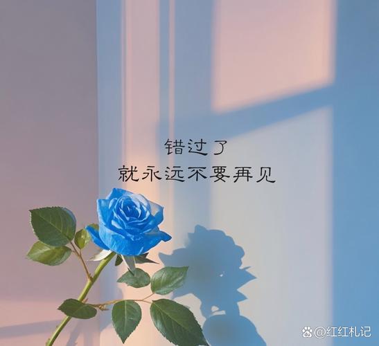 20句错过了爱情的句子,忘不了过去,永远也走不到未来 第1张 20句错过了爱情的句子,忘不了过去,永远也走不到未来 第1张