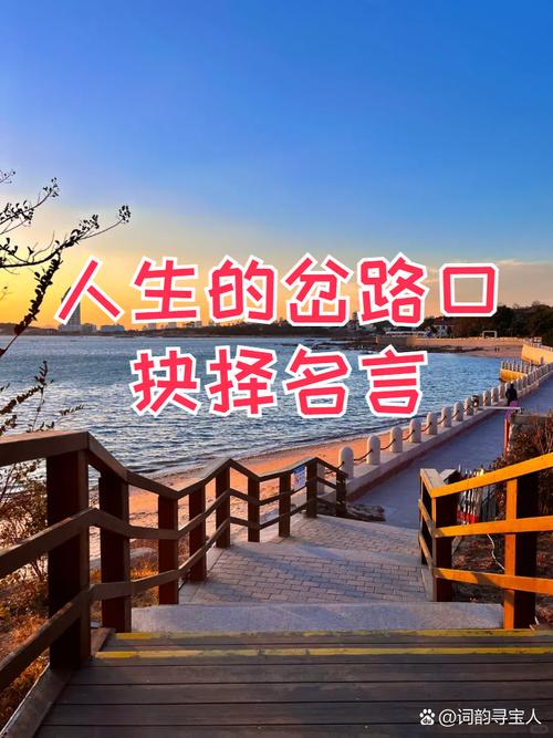 选择决定命运的名言（励志名言）  第1张