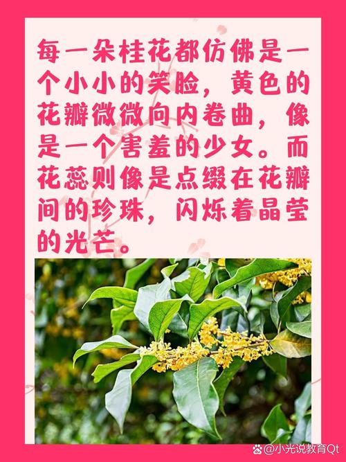 文人笔下描写桂花的句子,香彻整个秋天 第1张 文人笔下描写桂花的句子,香彻整个秋天 第1张