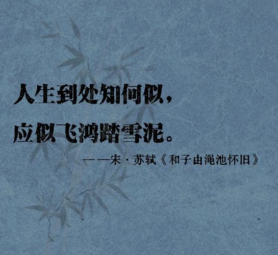 出自苏轼古文的经典语录，句句有理，不可不读  第1张