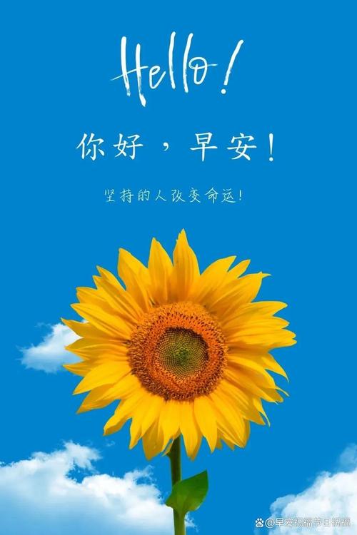 早晨刚睡醒发的说说，积极向上，振奋人心  第1张