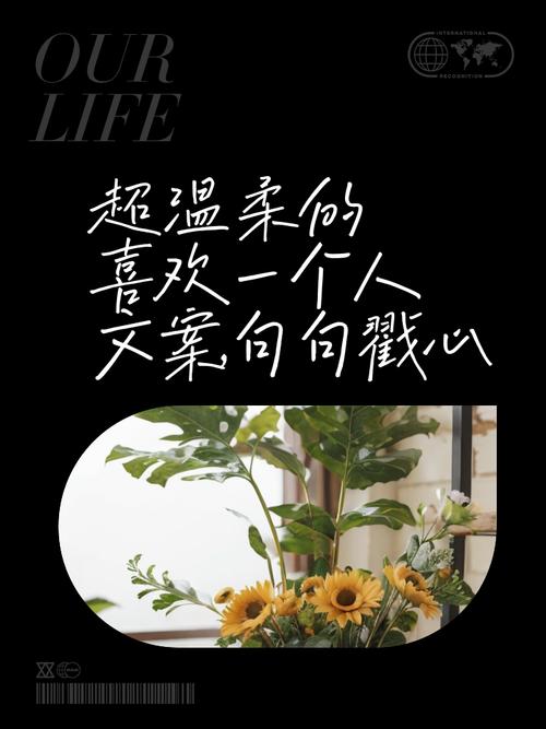 唯美句子‖以前喜欢一个人，现在喜欢一个人  第1张